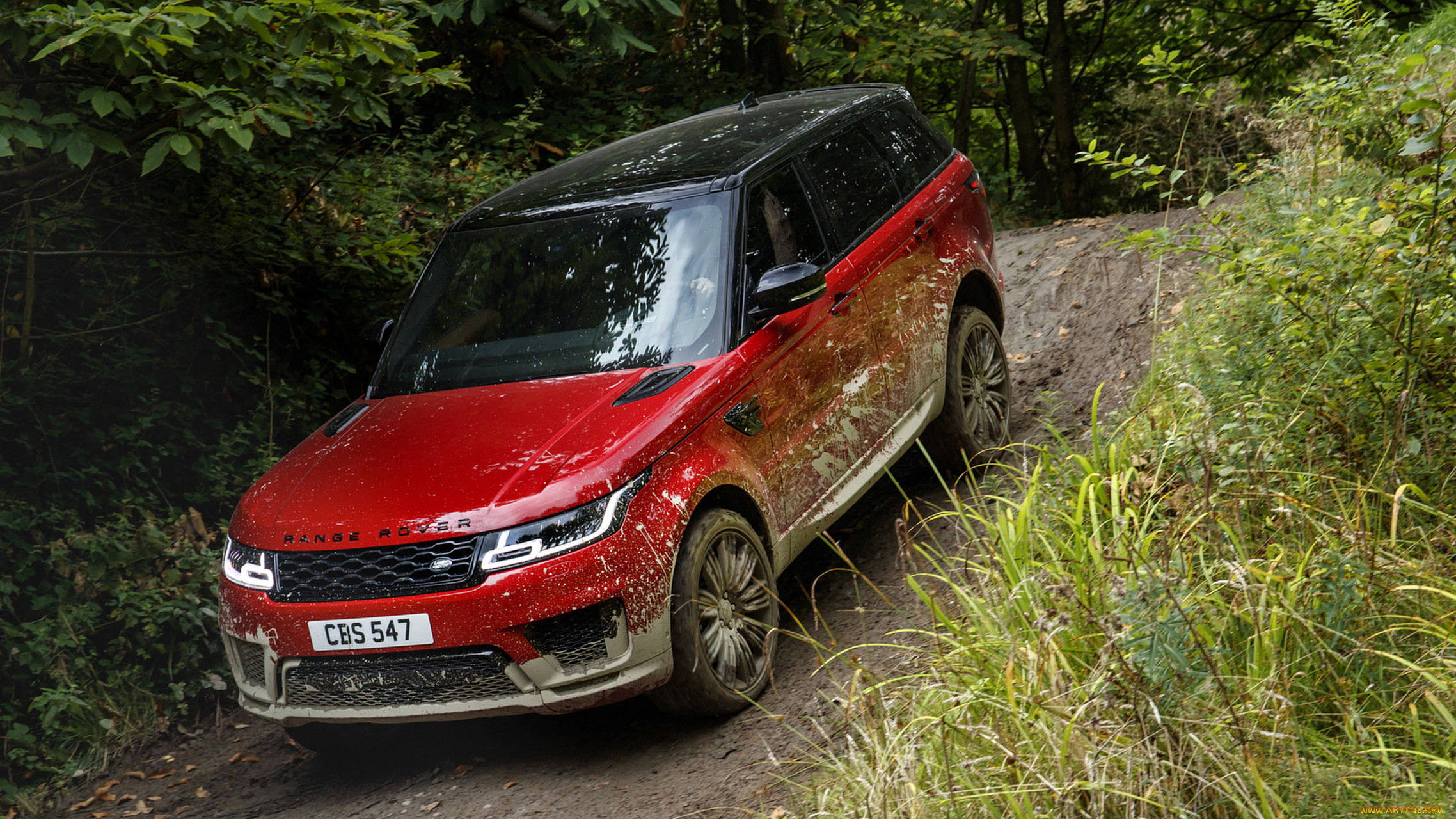 range rover sport 2018, , range rover, 2018, sport, range, rover